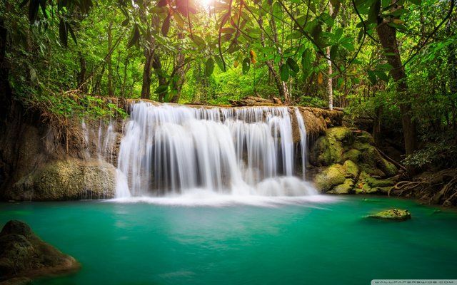 SRILANKA TOUR PACKAGE 4 NIGHT 5 DAYS